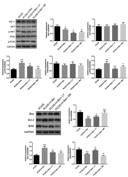 33709493 ET1601-4.png