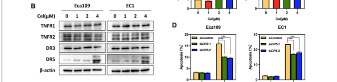 35754502 EM21002.png