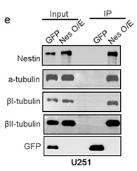 34158391 ET1602-4-1.png