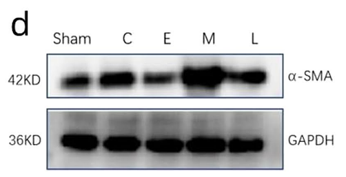 37145254 ET1601-4.png