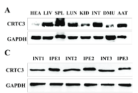 29796654 ET1601-4.png