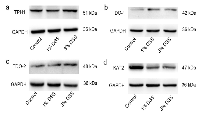 36758839 ET1601-4.png