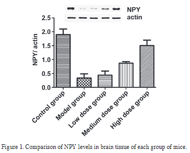 30936978 EM21002.png