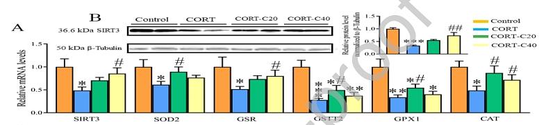 31614158 ET1602-4.jpg