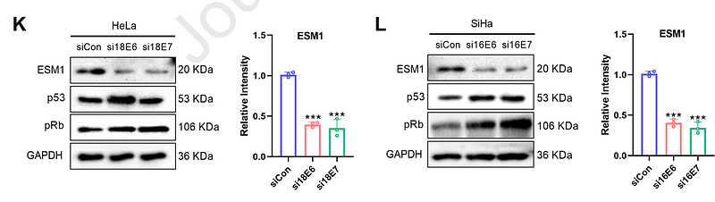 Yuan Lin,et al-3.png