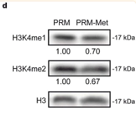 35449309 EM30605.tif