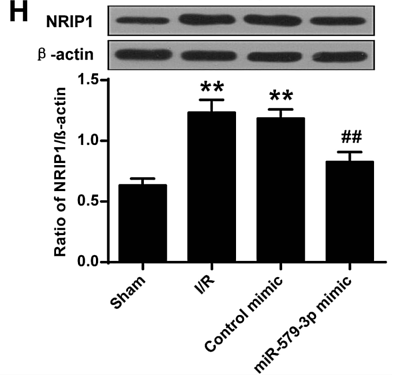 32494142 EM21002.png