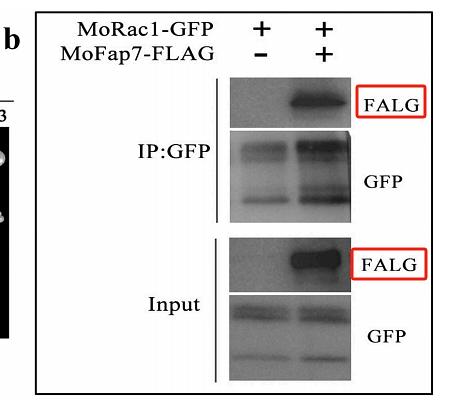 31814506 M1403-2.jpg