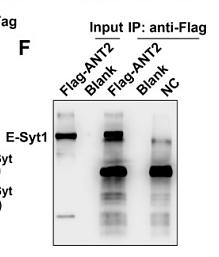 31903135 M1403-2.jpg