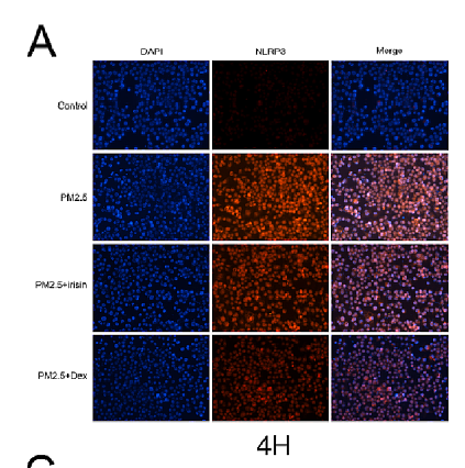 37003140 ET1610-93.png