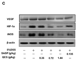 30429788 R1207-1.png