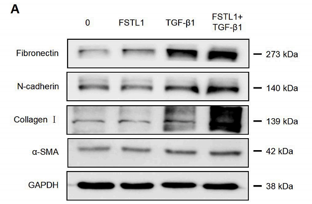 35483234 ET1607-37.png