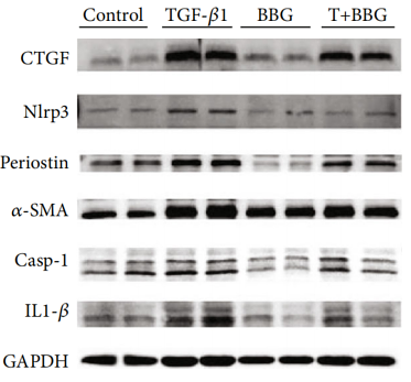 32566102 ET1610-93.png