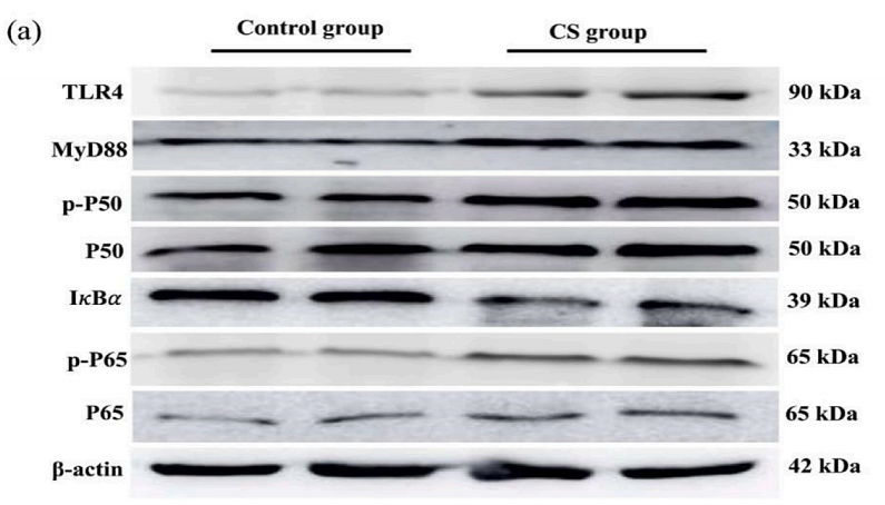 34998273 ET1610-81.png