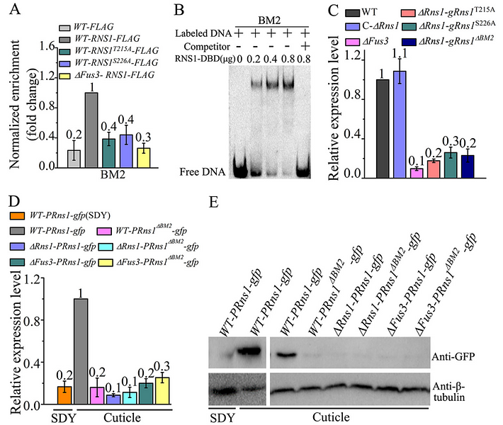 34156296 M1403-2.png