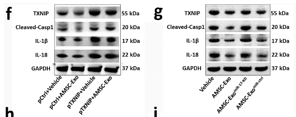 30197023 ET1601-4.png