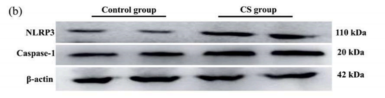 34998273 ET1610-93.png