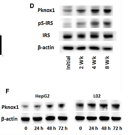 30338914 R1207-1.png