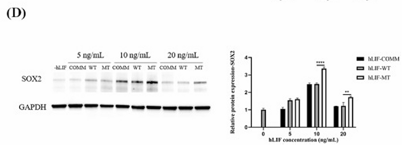 Liu Zhishuai,et al-1.png