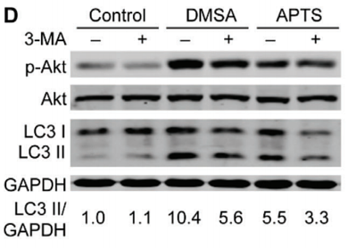 32832347 ET1601-4.png