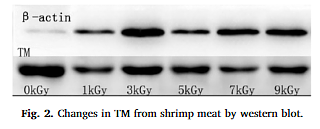 29853373 EM21002.png