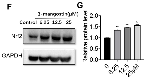 33293793 HA721136-1.png