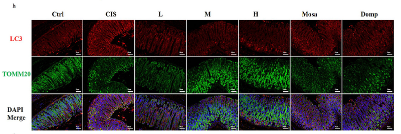 36806345 ET1609-25.png