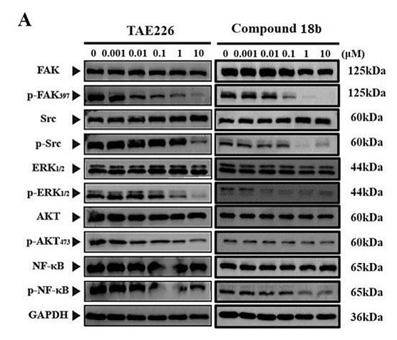 35452915 ET1602-25.png