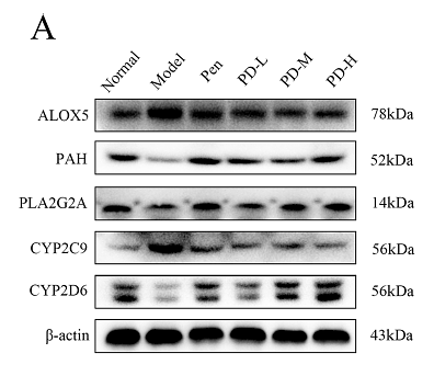 37094423 EM21002.png