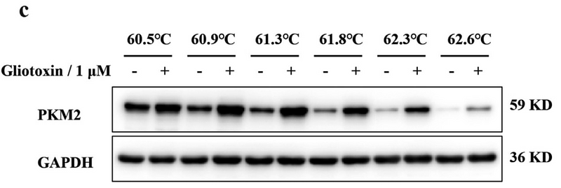 32507600 ET1601-4.png