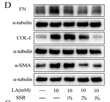 36806483 ET1607-53.png