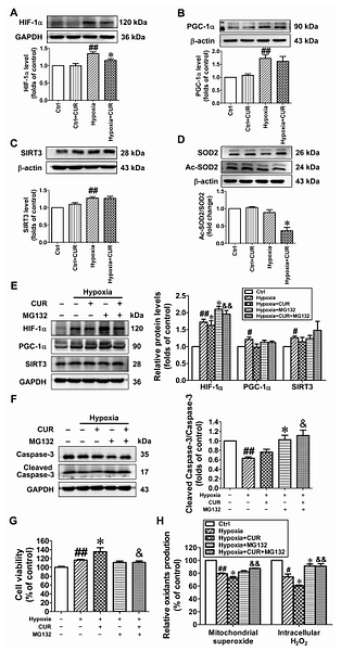 32745765 HA721136.png