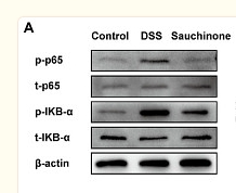 36699607 ET1609-78.png