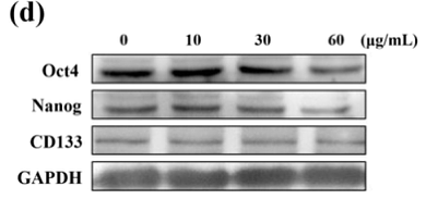 36473370 ET1612-20-1.png