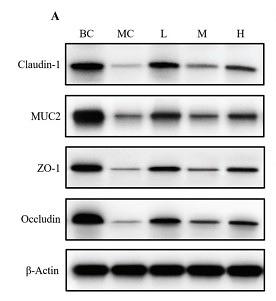 35060590 EM21002.jpg