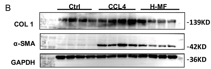 36914687 ET1601-4.png