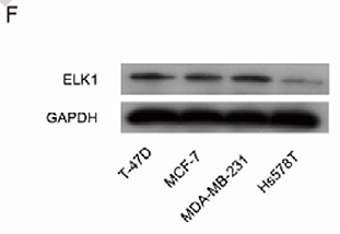 Xu Xiuping,et al-1.png