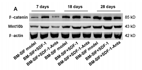 37529111 ET1601-5.png