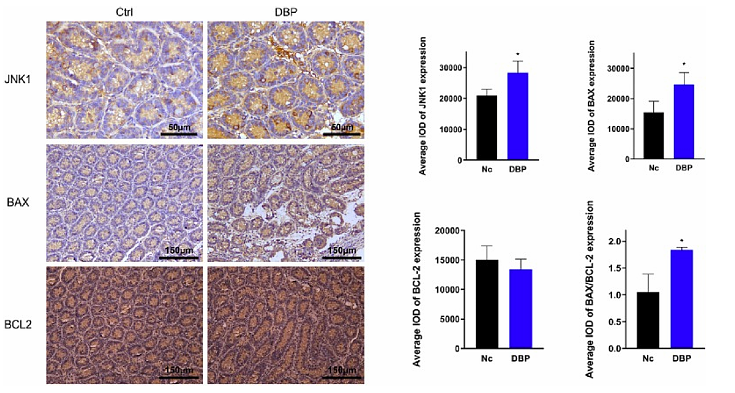 Wan Xinwei,et al-1.png