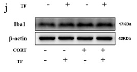 Luo Shuting,et al-1.png
