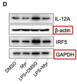 32195263 ET1601-4.jpg