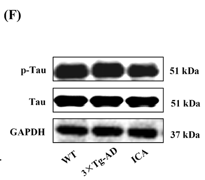 Wu Sichen,et al-1.png