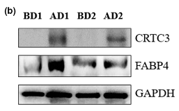 32400010 ET1601-4.png