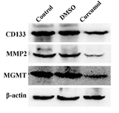 34739394 R1207-1.png