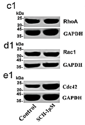 34946548 ET1601-4.png