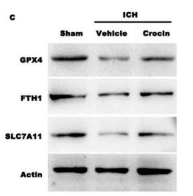 35380368 EM21002.jpg