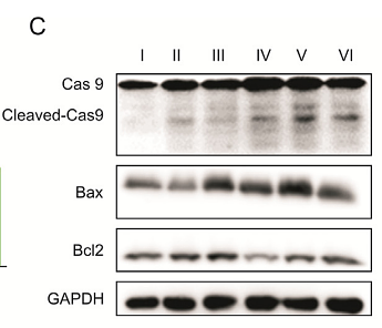 36816538 ET1603-34.png