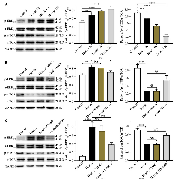 36619670 ET1601-29.png