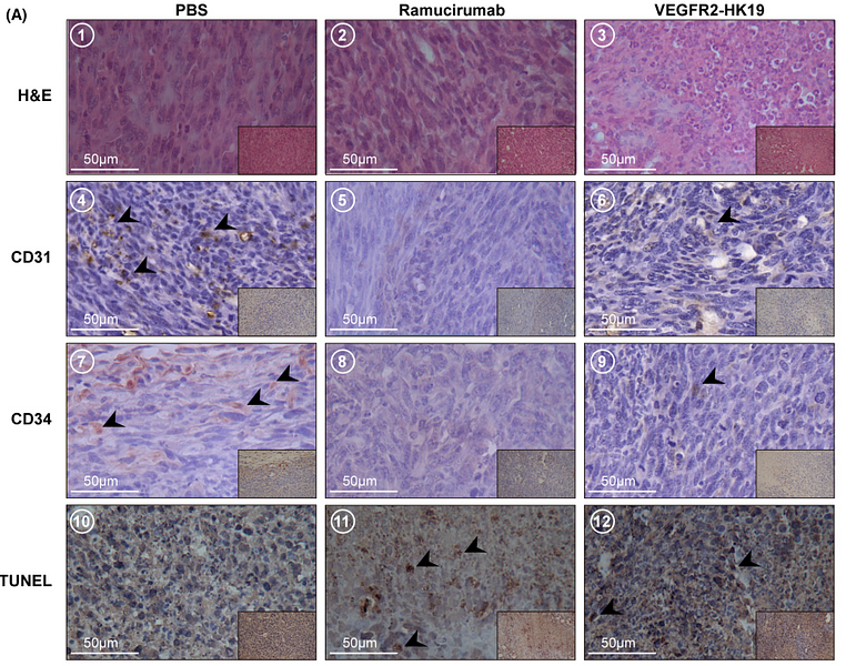 36114822 M1511-8.png