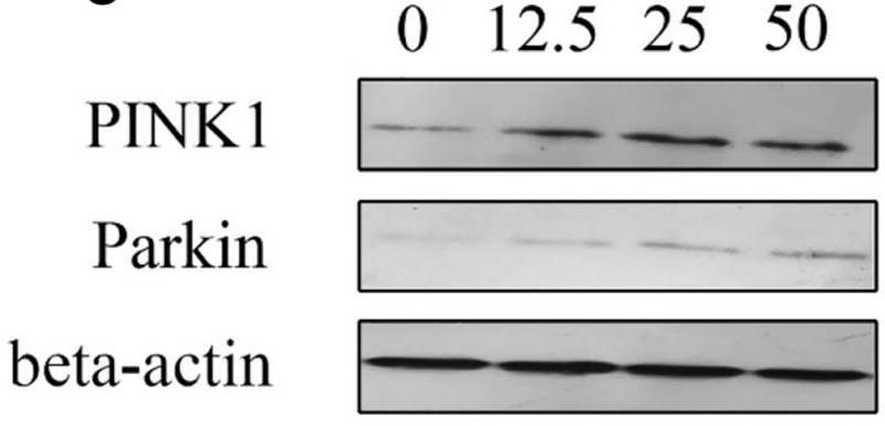 32666434 ET1702-60.jpg